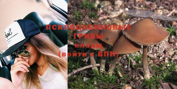 стаф Михайловск