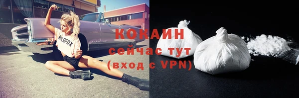 эйфоретик Михайлов