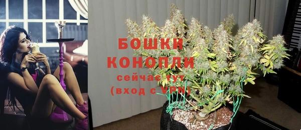 трава Михайловка