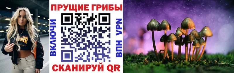 Псилоцибиновые грибы GOLDEN TEACHER мега сайт Шлиссельбург где можно купить наркотик